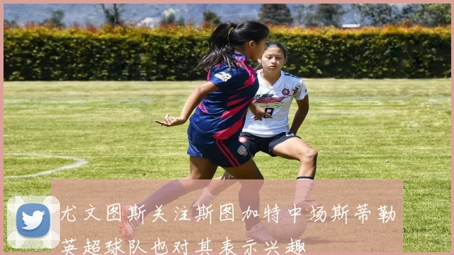尤文图斯关注斯图加特中场斯蒂勒英超球队也对其表示兴趣